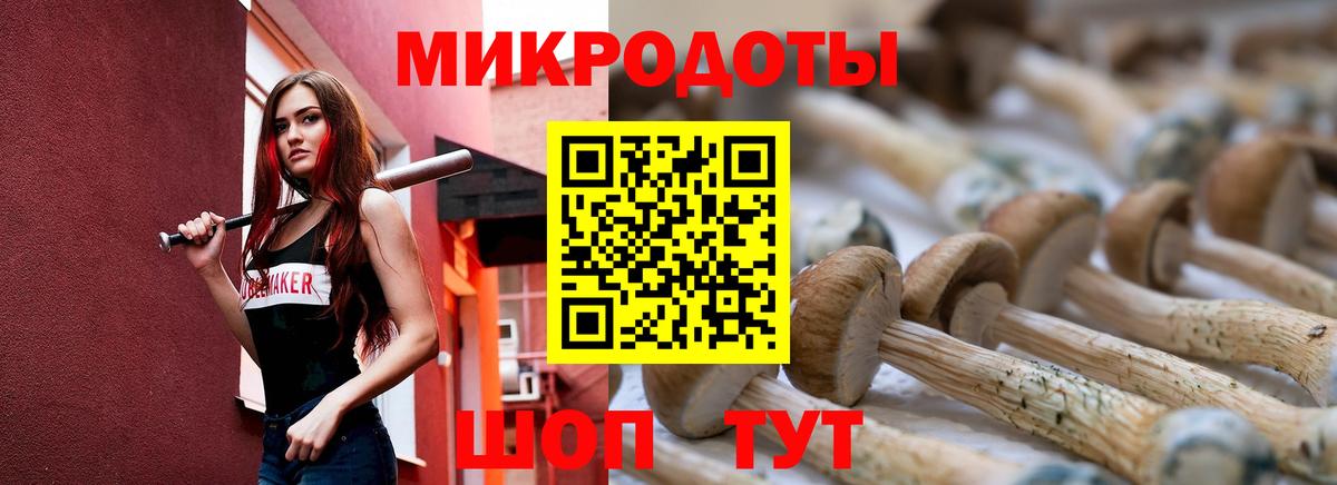 Лабинск  Галлюциногенные грибы Cubensis  Вход с VPN 