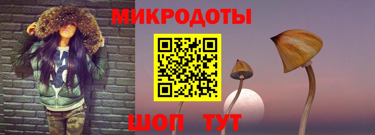 Галлюциногенные грибы Psilocybe Лабинск